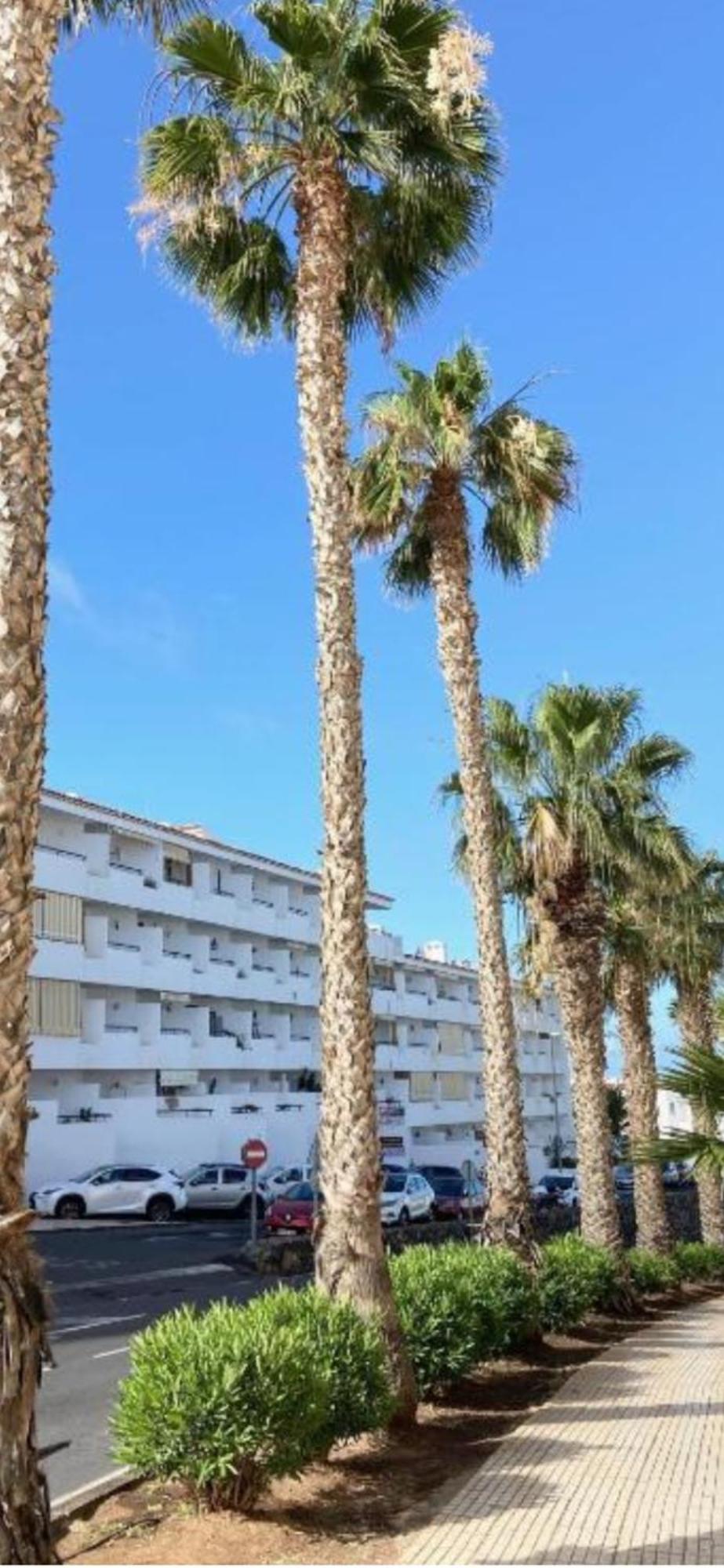 Ferienwohnung Eleonora Sweet Los Cristianos  Exterior foto